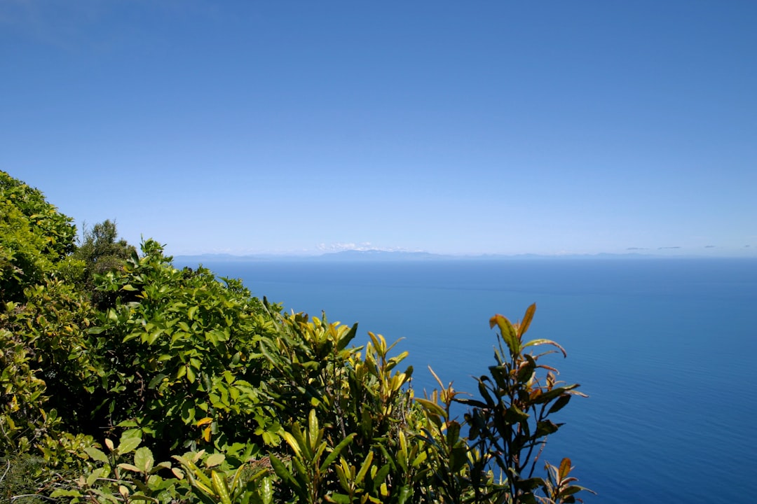 Magische Pfade der Kapiti Coast entdecken - Kapiti | Secret World Trip Planner