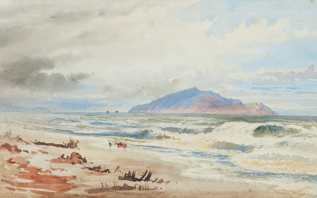 カピティ海岸の魔法の小道 - Kapiti | Secret World Trip Planner