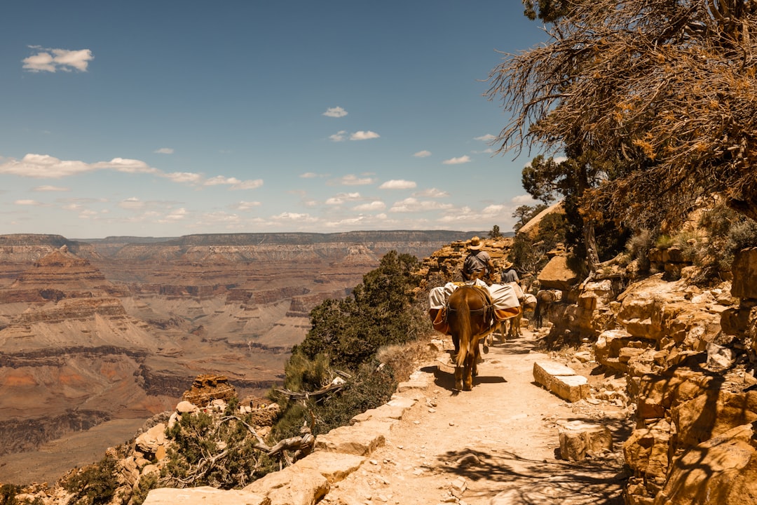 Scoprire il Rim Trail: Un Viaggio Indimenticabile al Grand Canyon - Grand Canyon Village | Secret World Trip Planner