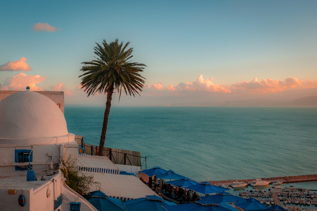 Sidi Bou Said: The Markets of a Enchanted Village - Sidi Bou Said | Secret World Trip Planner