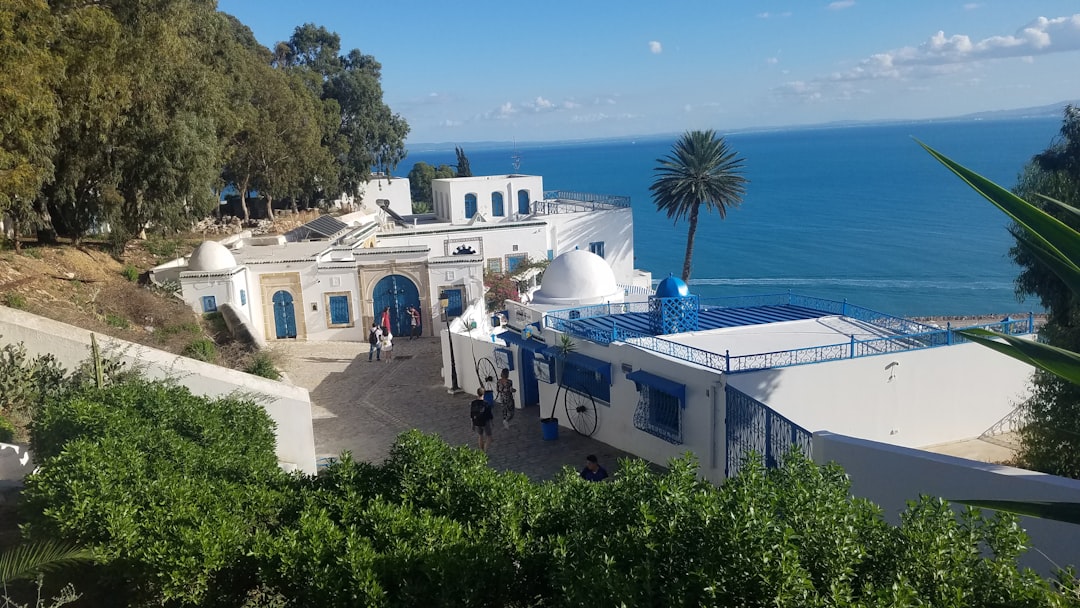 Sidi Bou Said: Die Märkte eines verzauberten Dorfes - Sidi Bou Said | Secret World Trip Planner