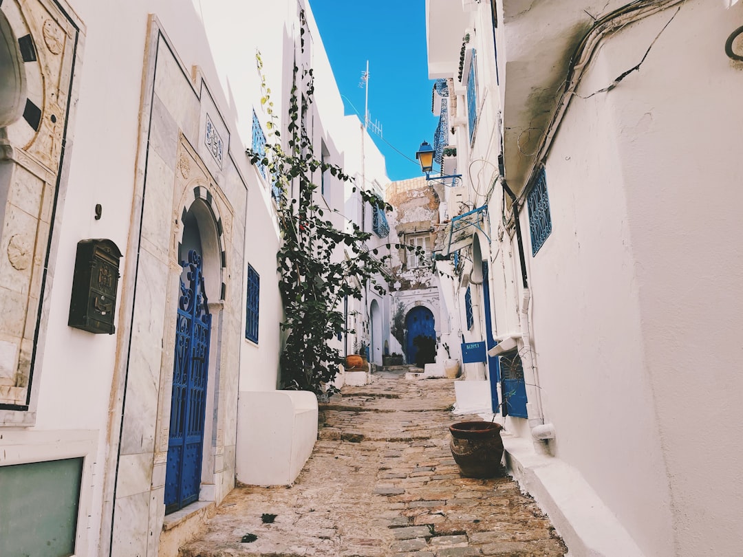 Сиди Бу Саид: Рынки волшебной деревни - Sidi Bou Said | Secret World Trip Planner