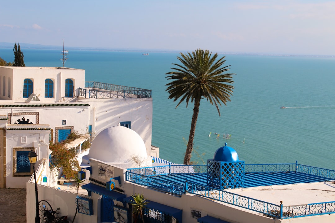 シディ・ブー・サイド：魅惑の村の市場 - Sidi Bou Said | Secret World Trip Planner