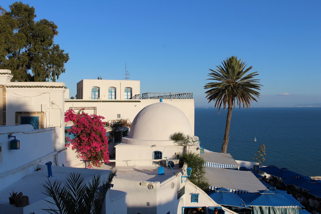 西迪布赛义德：迷人村庄的市场 - Sidi Bou Said | Secret World Trip Planner
