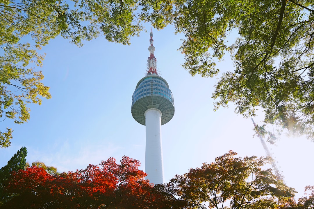서울 타워에서 바라보는 숨막히는 경치 - Yongsan District | Secret World Trip Planner
