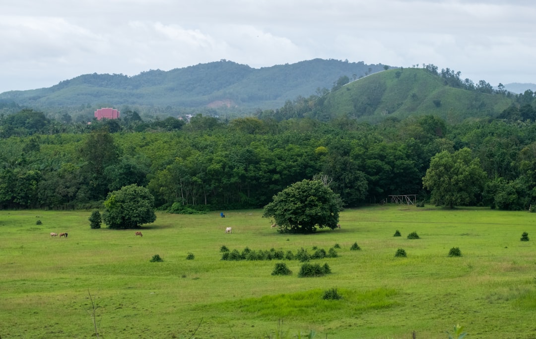 クロンパノム国立公園の隠れた滝 - Amphoe Phanom | Secret World Trip Planner