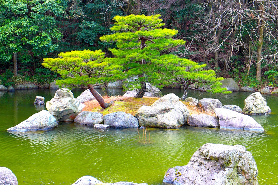 Suizenji Jojuen: Un Giardino Segreto di Tranquillità - Kumamoto | Secret World Trip Planner