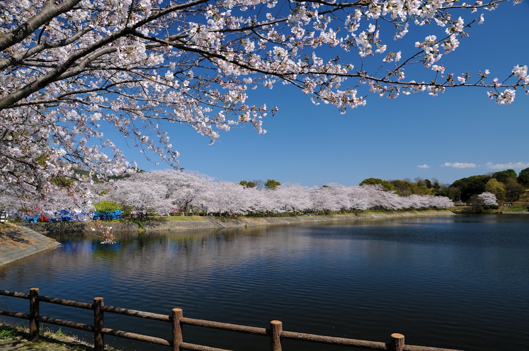 Suizenji Jojuen: A Secret Garden of Serenity - Kumamoto | Secret World Trip Planner