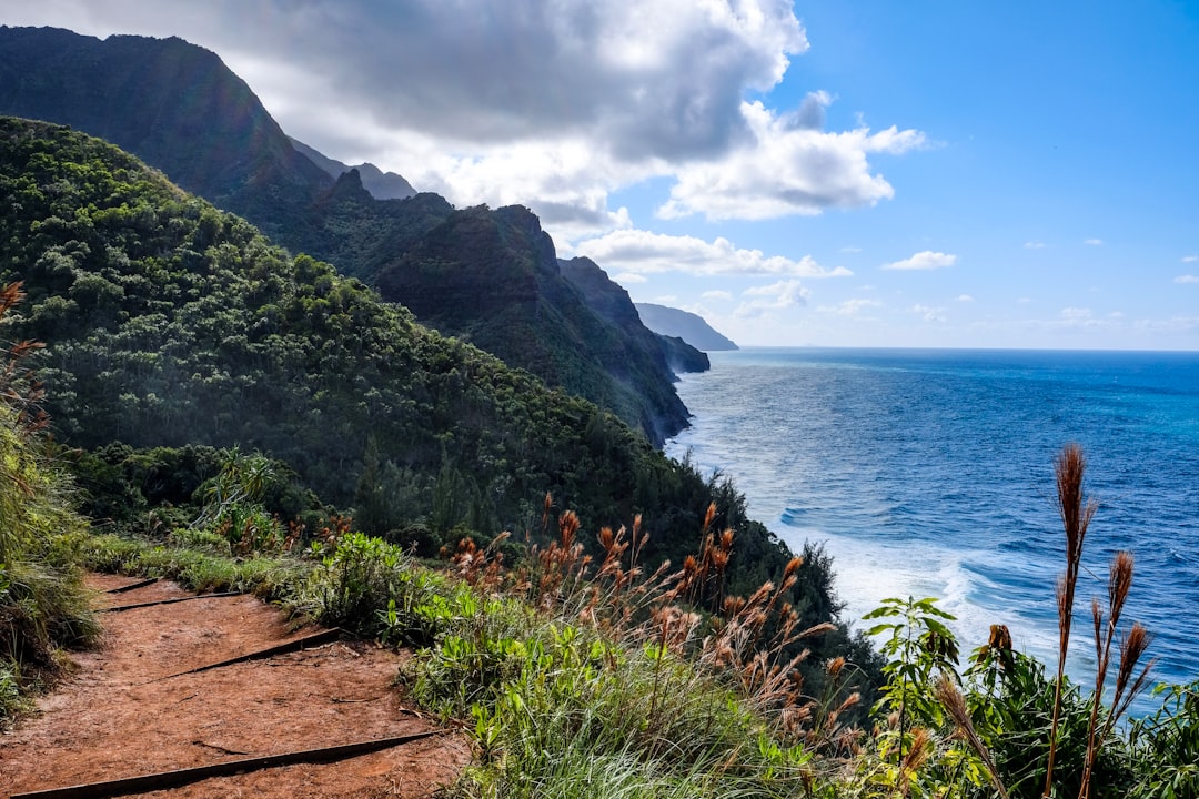 Descubre las Playas de la Costa Nā Pali: Un Paraíso Natural - Contea di Kauai | Secret World Trip Planner