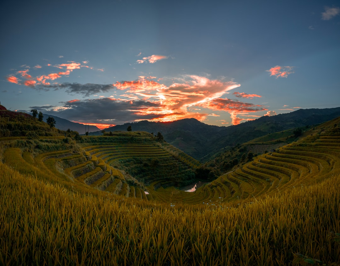 Enchanting Sunsets over Ta Phin Rice Fields - Ta Phin | Secret World Trip Planner