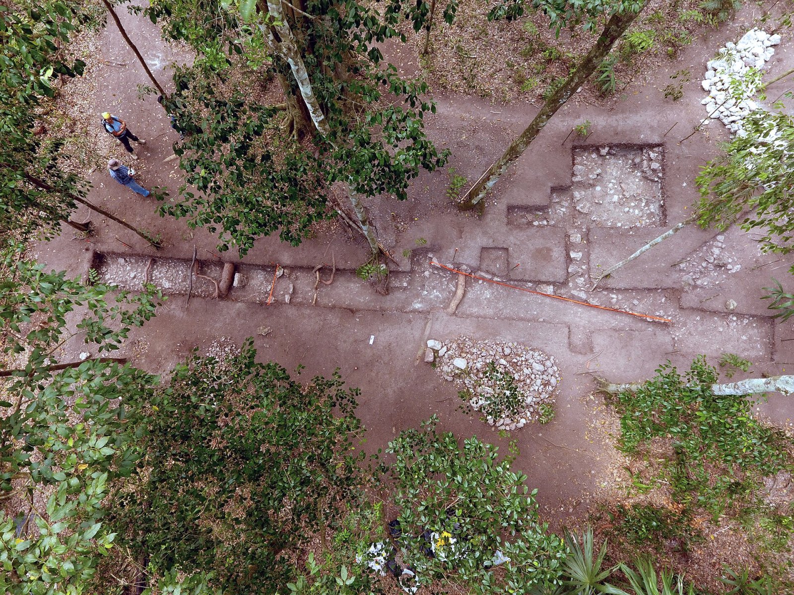 El Tintal: un tesoro arqueológico en el corazón de Guatemala — Chilar