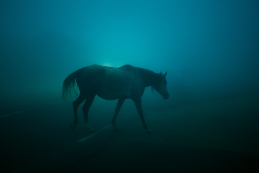 O Cavalo Azul de Franz Marc: Arte e Natureza em Zehdenick - Dorfanger 20 | Secret World Trip Planner