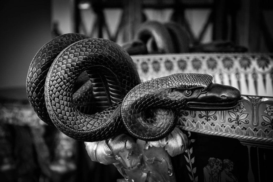 Scoprire l'Ermitage: Un Viaggio nell'Arte a San Pietroburgo - Sankt-Peterburg | Secret World Trip Planner