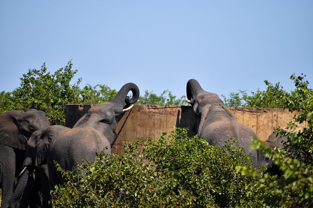 Découvrez la biodiversité à la porte Malelane du Kruger - R570 | Secret World Trip Planner