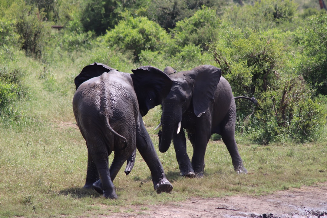말레레인 게이트에서의 생물 다양성 탐험 - R570 | Secret World Trip Planner