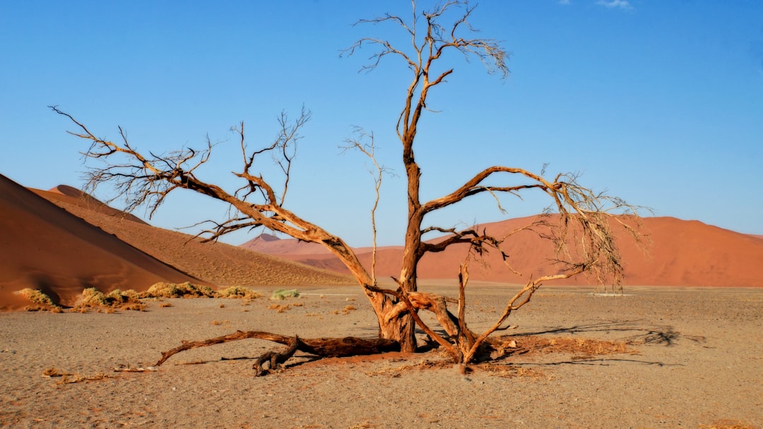 Дюна 45 Соссусвлей: Магия Намибийской Пустыни - Dune 45 Sossusvlei | Secret World Trip Planner