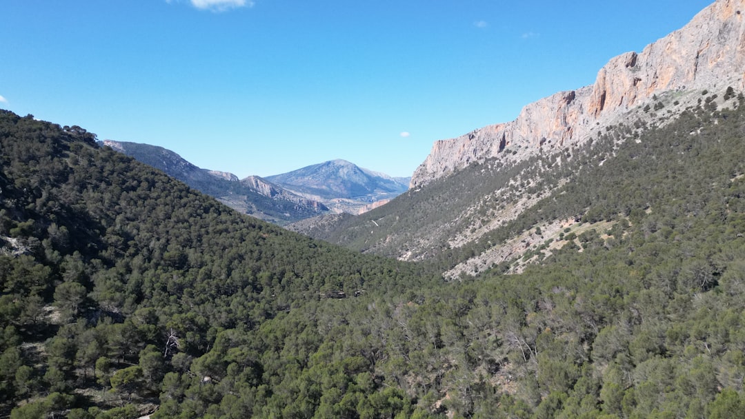 Bajo el Cielo Estrellado de la Sierra de San Pedro Mártir - Carretera Diaz Ordaz al Observatorio Km 84 | Secret World Trip Planner