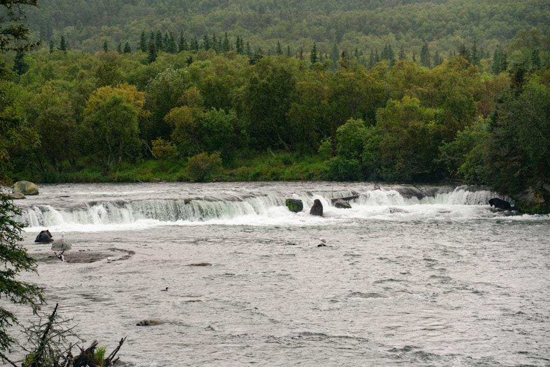 Chutes Fourgassier: Um Tesouro Escondido na Guiana Francesa - JMFQ+VJJ | Secret World Trip Planner