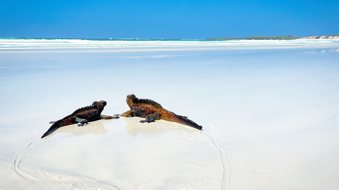 Außergewöhnliche Panoramen von Puerto Ayora - Puerto Ayora | Secret World Trip Planner