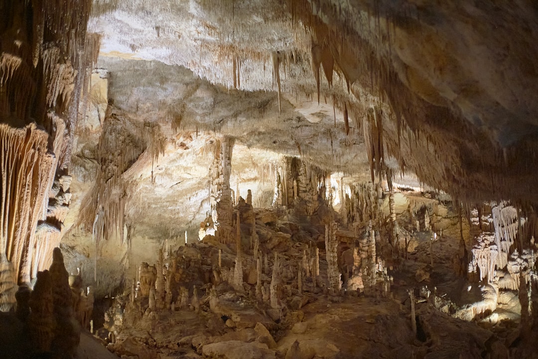 Las encantadoras Cuevas del Drach: un viaje subterráneo - 07680 Porto Cristo | Secret World Trip Planner