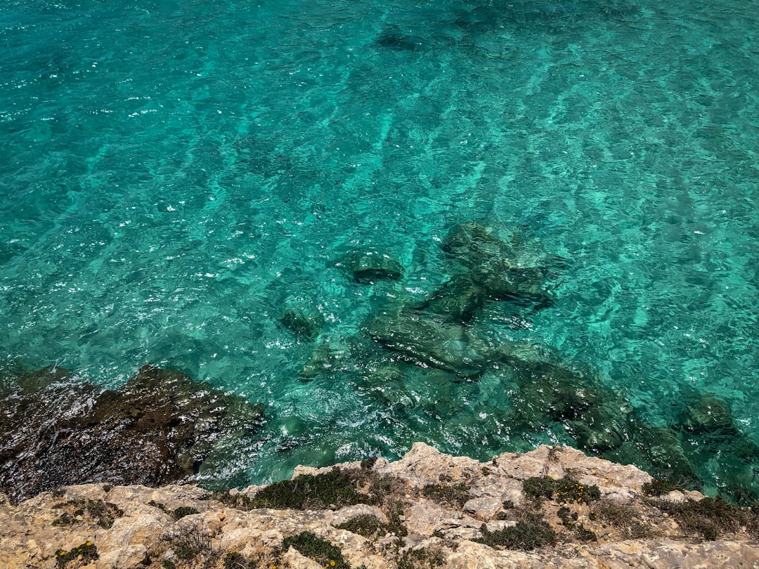 As encantadoras Cuevas del Drach: uma viagem subterrânea - 07680 Porto Cristo | Secret World Trip Planner