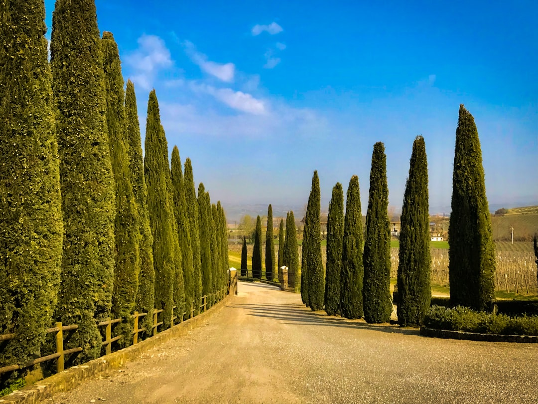 Montalcino : Le Cœur du Brunello - 53024 Montalcino SI | Secret World Trip Planner