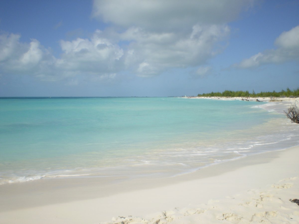 Découvrir Playa Paraiso : La Plage de Rêve à Cayo Largo - Cayo Largo | Secret World Trip Planner