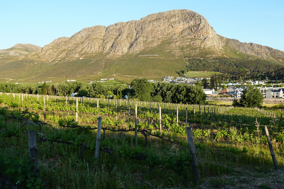 フランシュフック：南アフリカのワインの楽園 - Franschhoek | Secret World Trip Planner