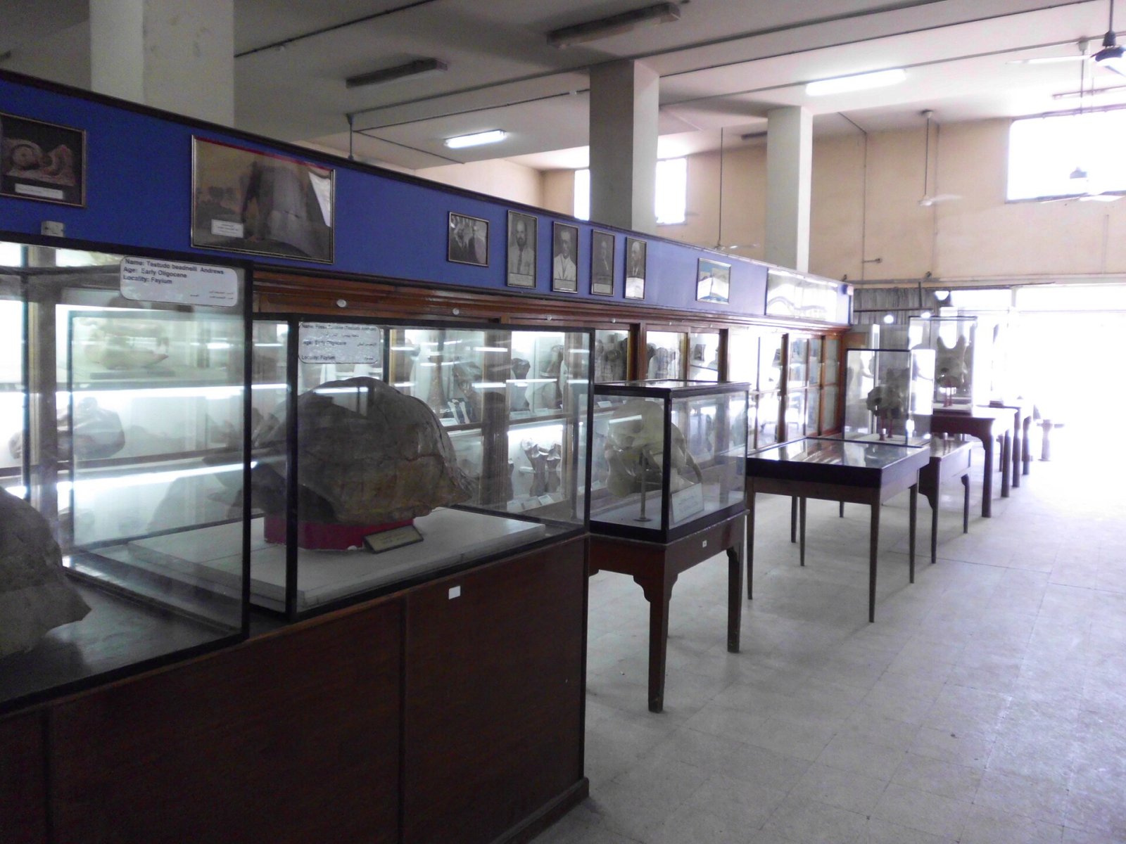 Descubre el Museo Geológico Egipcio: un tesoro en El Cairo - Athar an Nabi | Secret World Trip Planner