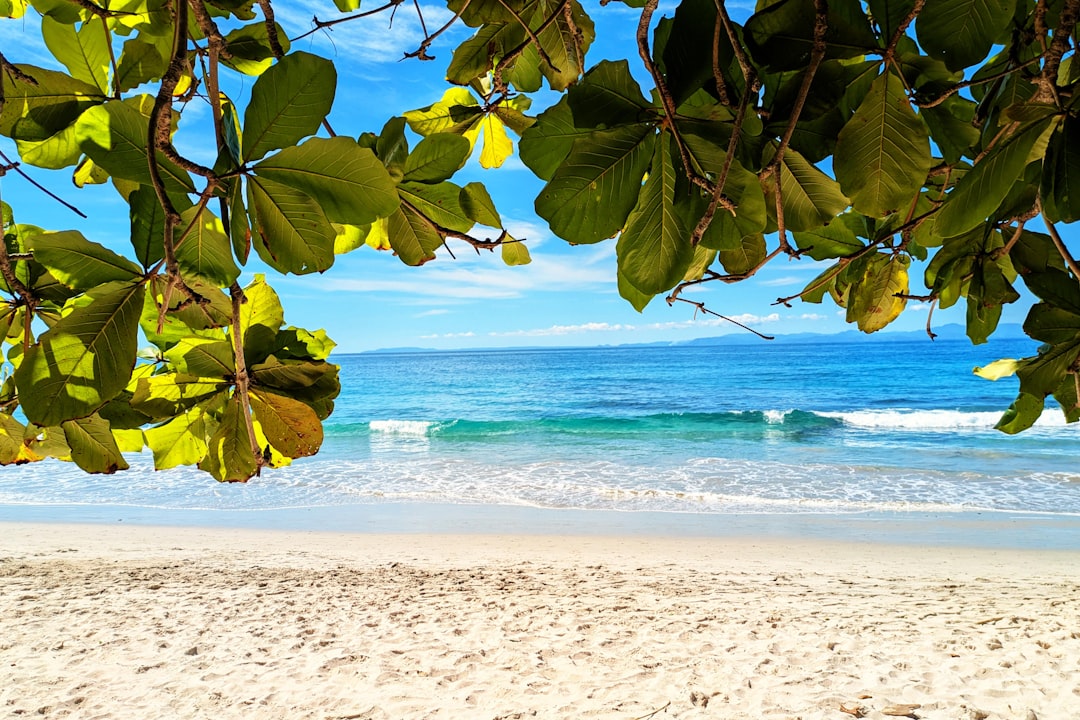 プラヤ・ブランカを探索する:コスタリカの自然の楽園 - Herradura | Secret World Trip Planner