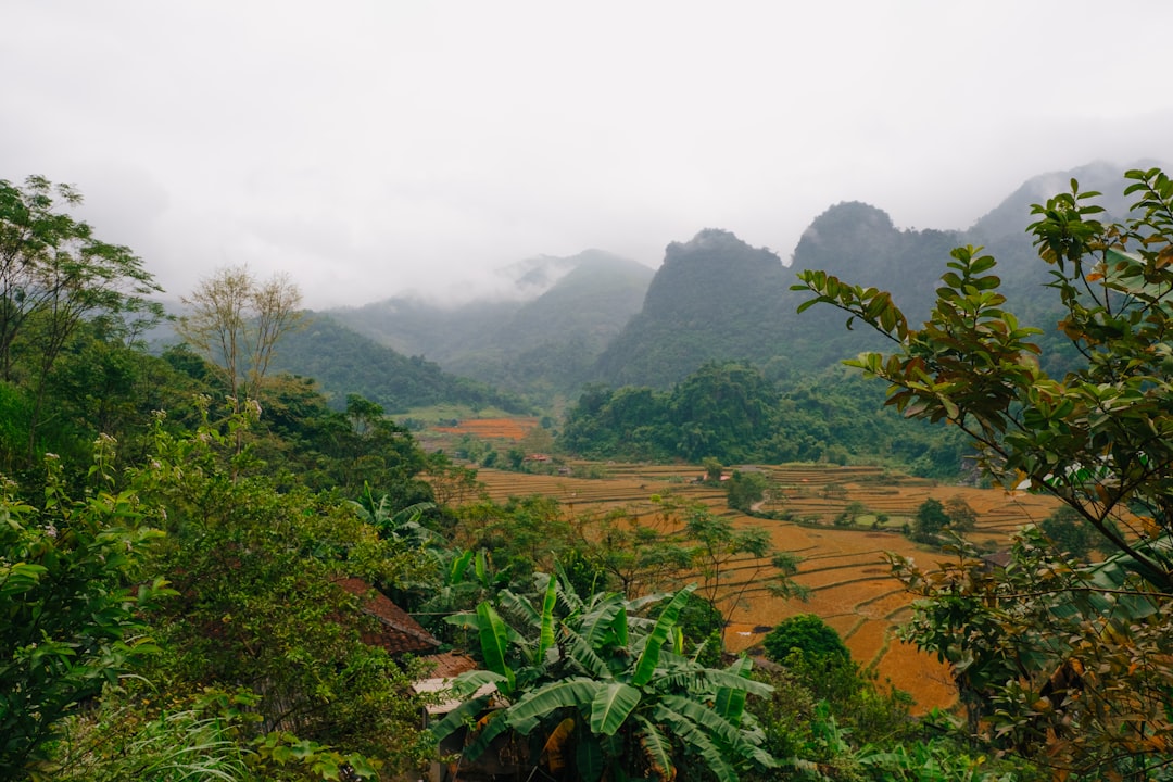 探索越南的自然天堂——Phou Den Din的美丽 - Muong Nhe | Secret World Trip Planner