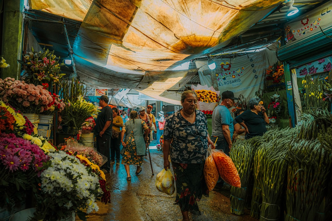 Descubra o Mercado de Artesanatos La Ciudadela na Cidade do México - 06040 Ciudad de México | Secret World Trip Planner