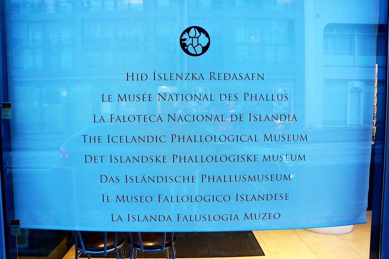 Besuch im Isländischen Phallusmuseum in Reykjavík - Reykjavík | Secret World Trip Planner