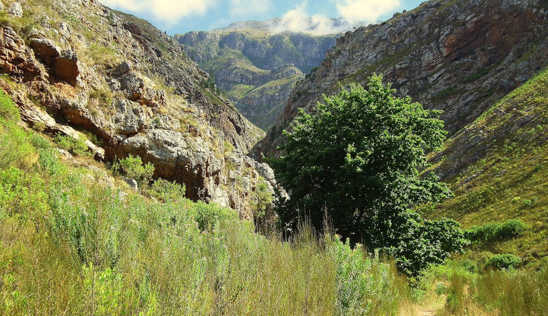 Discover the Sierra De Las Minas National Park - 59C5+5QM | Secret World Trip Planner