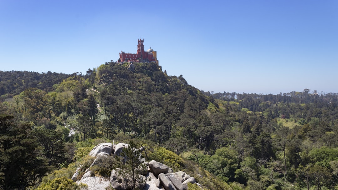 Explorer le Château des Maures : un trésor caché à Sintra - 2710-405 Sintra | Secret World Trip Planner