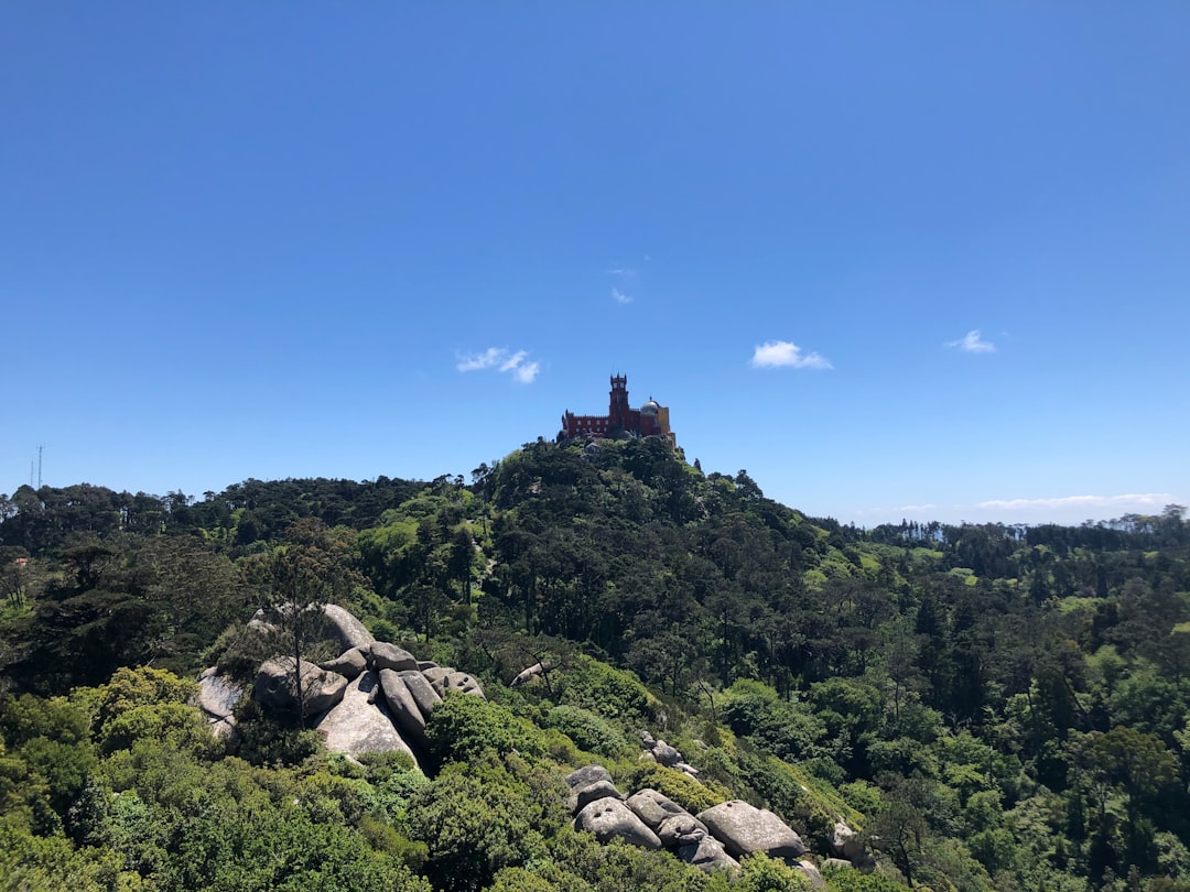 Explorer le Château des Maures : un trésor caché à Sintra - 2710-405 Sintra | Secret World Trip Planner