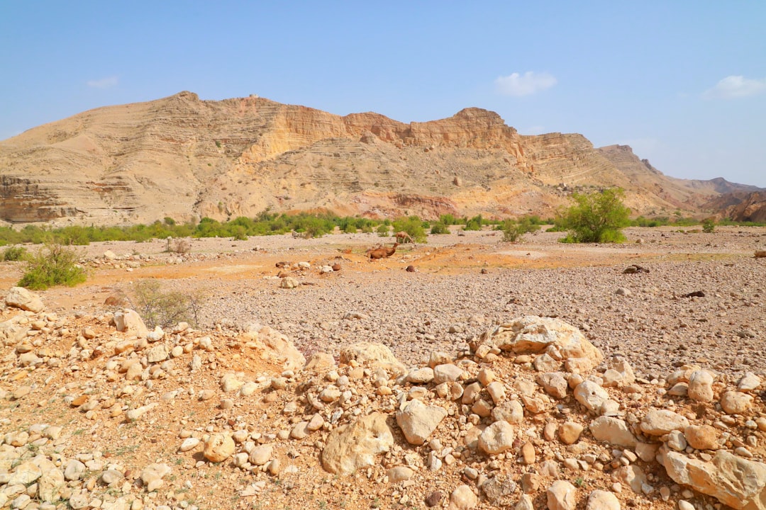 Wadi Bani Khalid: The Natural Pools of Eastern Oman - Wadi Bani Khalid | Secret World Trip Planner