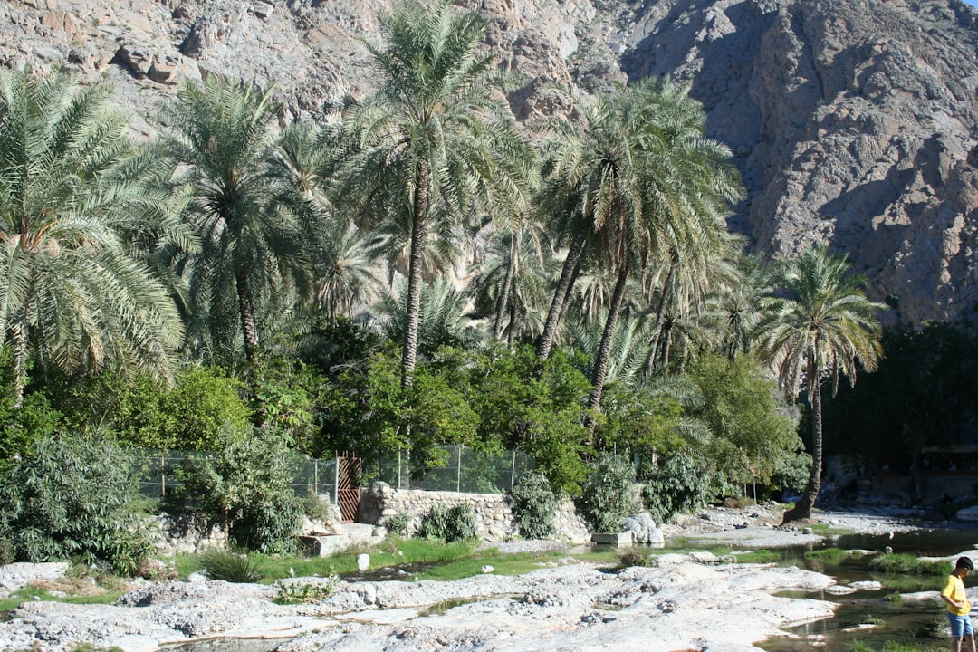 Wadi Bani Khalid: las piscinas naturales de Omán - Wadi Bani Khalid | Secret World Trip Planner