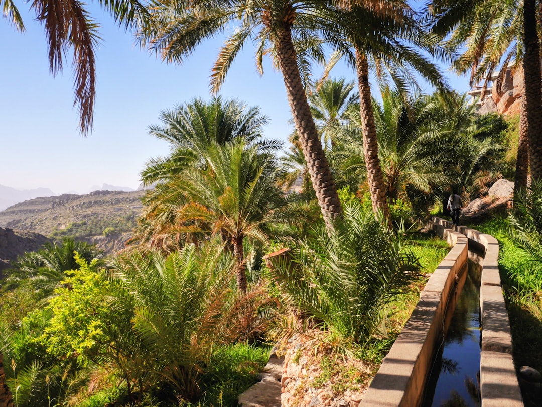 Misfah al Abriyyin : le village troglodyte d'Oman - Misfah al Abriyyin | Secret World Trip Planner