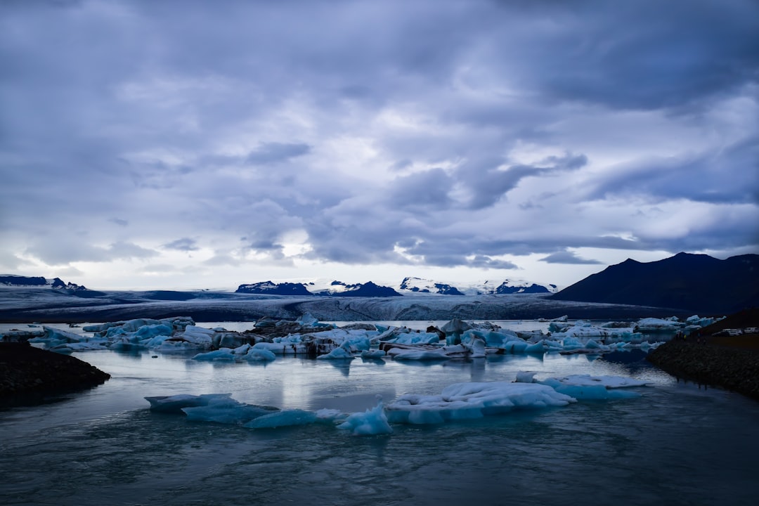 Jökulsárlón: Eisberge und Fauna in Islands Gletschern - Jökulsárlón | Secret World Trip Planner
