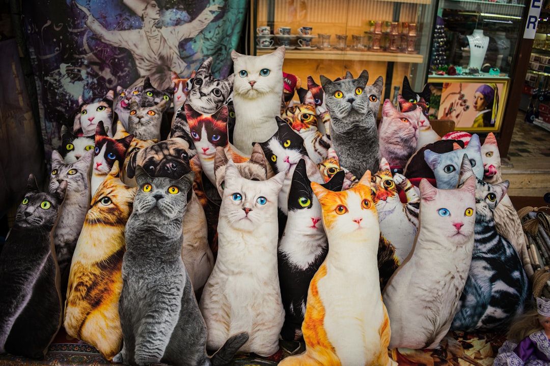 Kotor's Cats Museum: Felines and Artisans in History - Trg Gospa od Anđela - Stari Grad 371 | Secret World Trip Planner