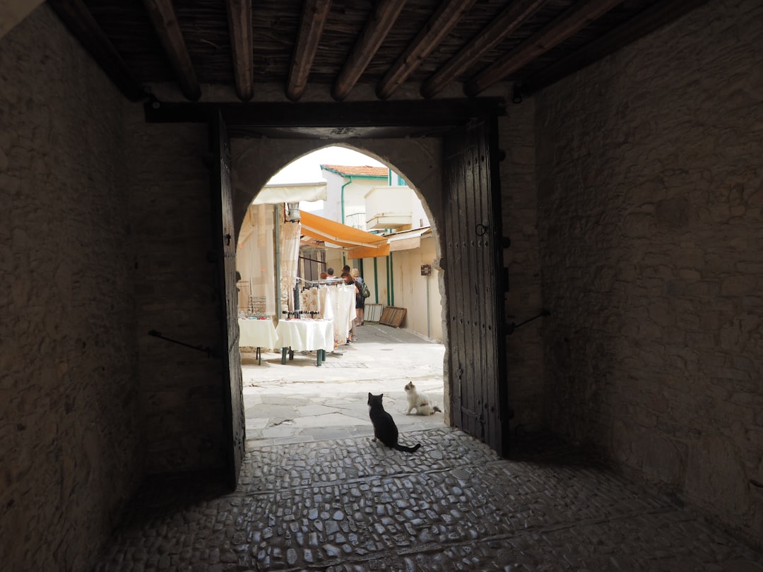 Musée des Chats de Kotor : félins et artisans médiévaux - Trg Gospa od Anđela - Stari Grad 371 | Secret World Trip Planner