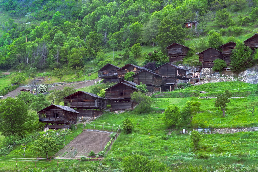 바르지아: 조지아의 중세 동굴 도시 - 97JM+CMH | Secret World Trip Planner
