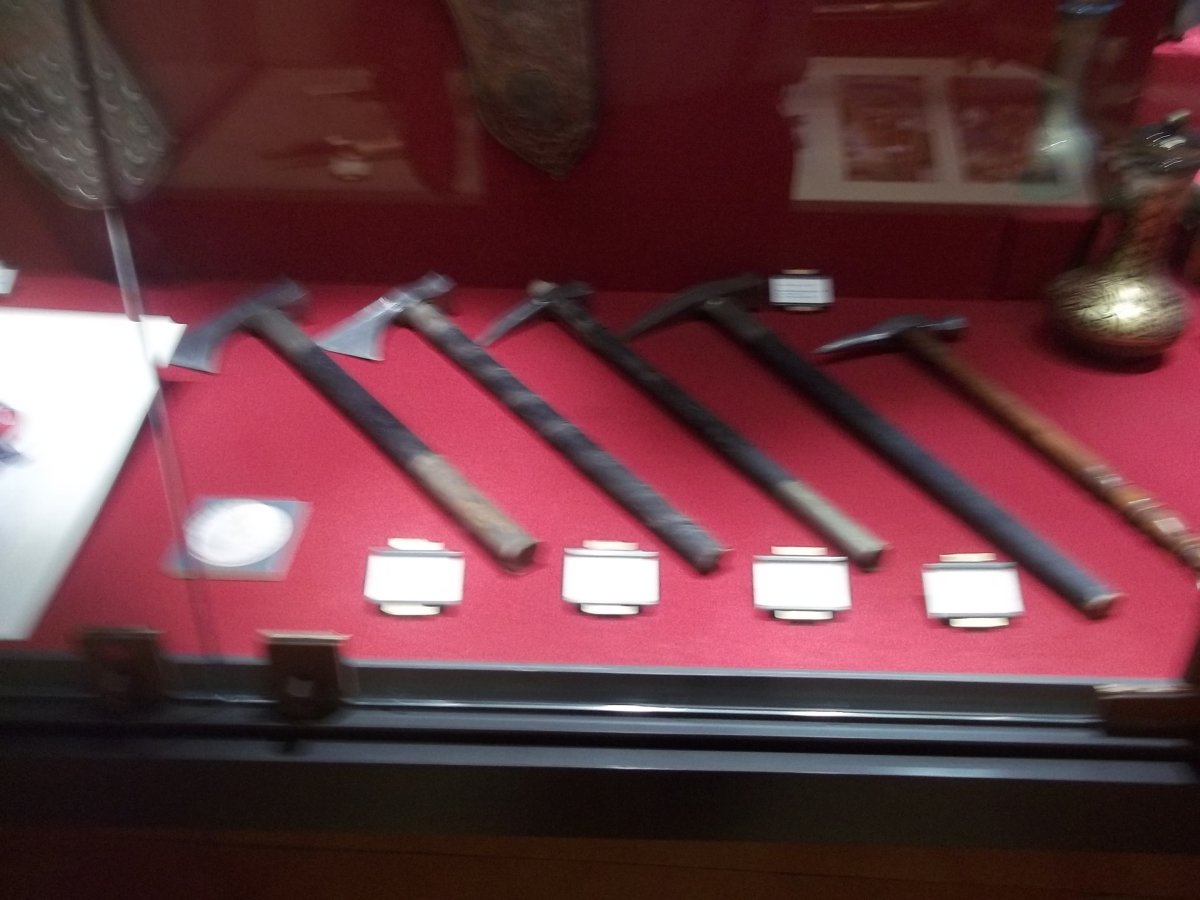 Stadtmuseum Bologna: Ihr Besuchsleitfaden - 4 | Secret World Trip Planner