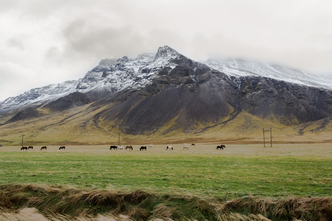 Découvrez Súgandisey : un coin enchanteur d'Islande - Stykkishólmur | Secret World Trip Planner