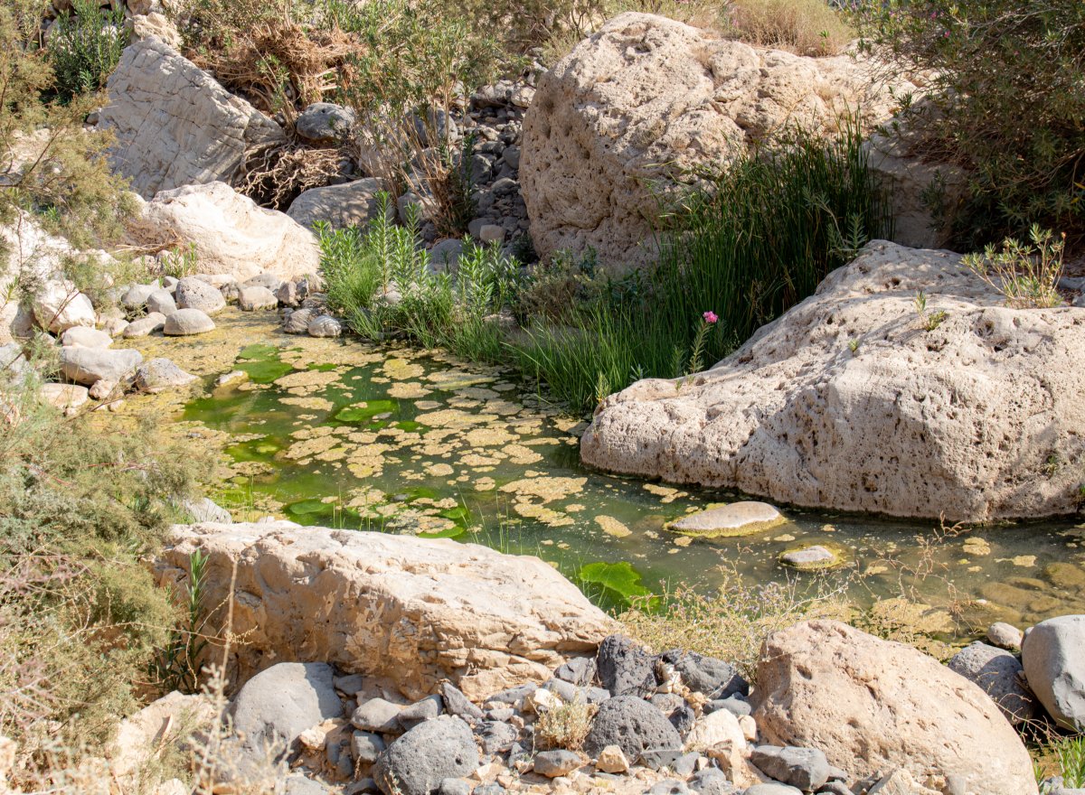 瓦迪阿尔穆吉布:约旦最深的峡谷 - Wadi al Mujib | Secret World Trip Planner