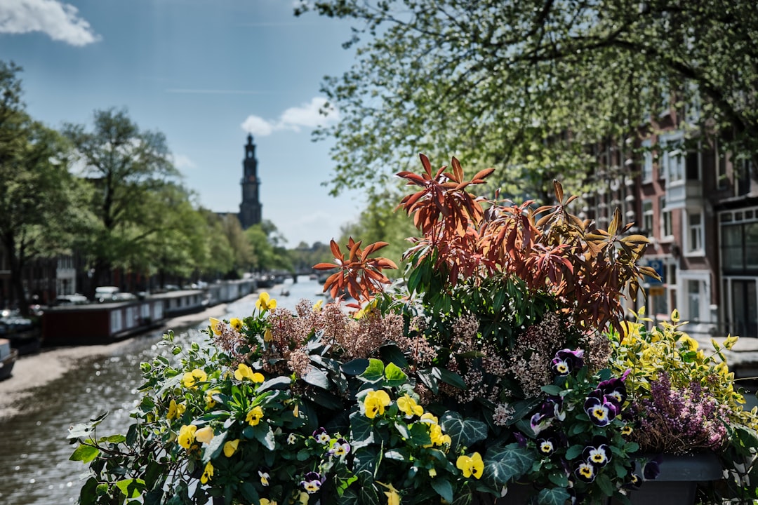 Hortus Botanicus em Amsterdã: guia de visita - Plantage Middenlaan 2a | Secret World Trip Planner
