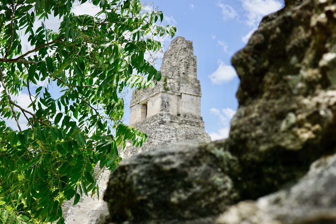 Тикаль: джунгли и пирамиды майя в Гватемале - Tikal | Secret World Trip Planner
