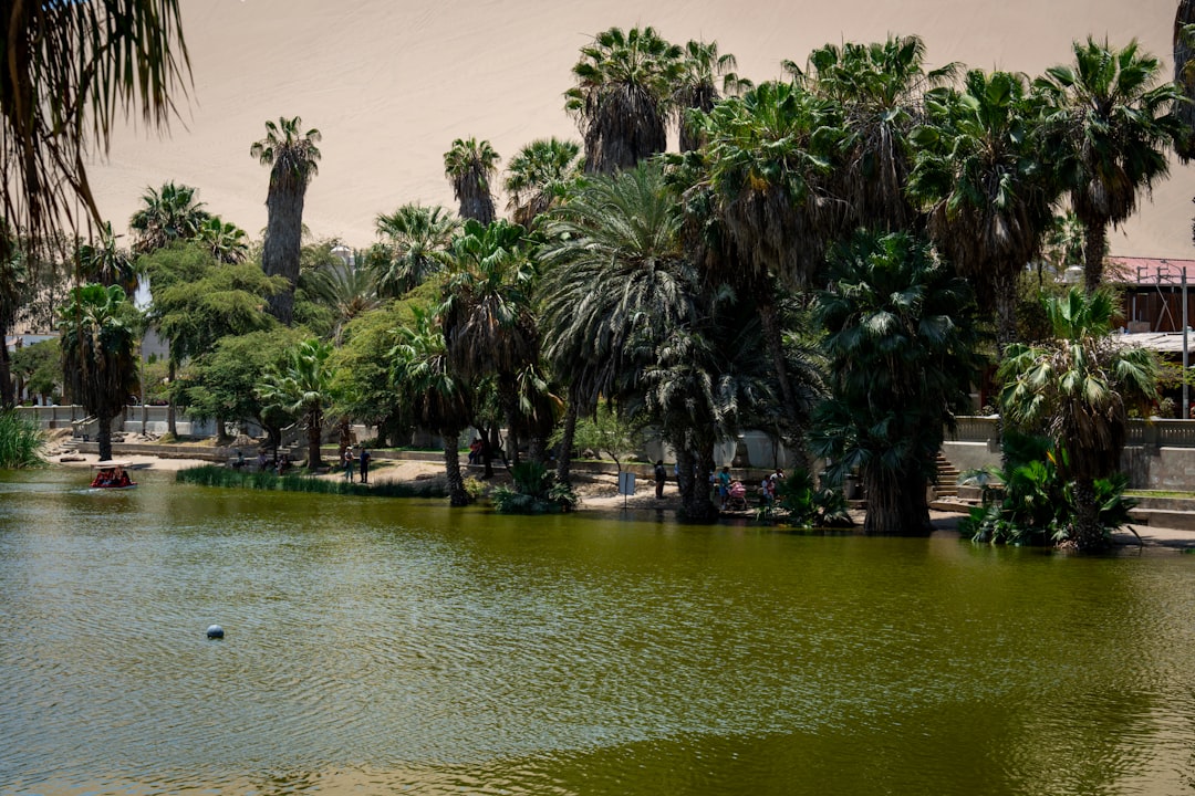 Huacachina : l'oasis magique du désert péruvien - Unnamed Road | Secret World Trip Planner
