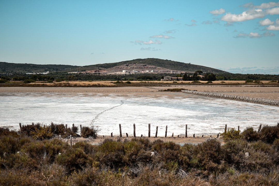Saline Aguada Blanca: fauna selvatica ad alta quota - Reserva Nacional de Salinas y Aguada Blanca | Secret World Trip Planner